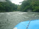 Costa Rica - Sarapiqui River - 6